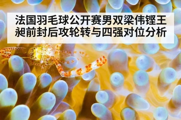 法国羽毛球公开赛男双梁伟铿王昶前封后攻轮转与四强对位分析(nine game)